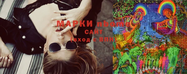 ешки Туринск
