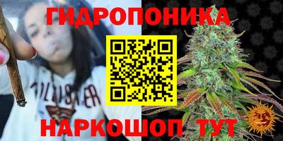 индика Апрелевка
