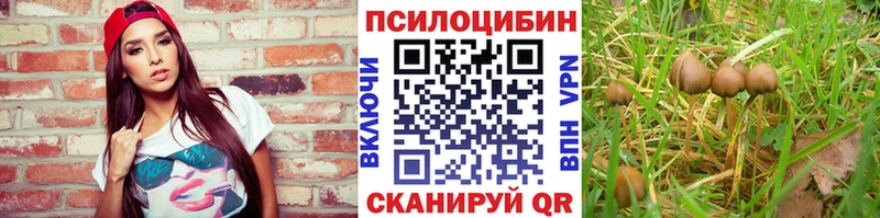 закладка  Белгород  Галлюциногенные грибы ЛСД 