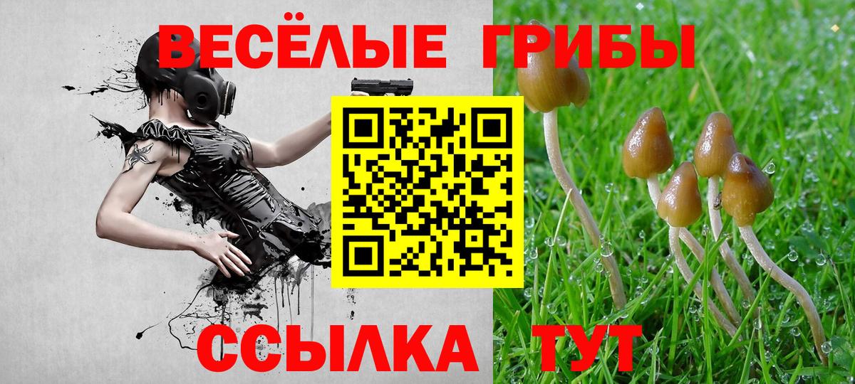 Псилоцибиновые грибы GOLDEN TEACHER  Вход с VPN  Псилоцибиновые грибы ЛСД  Белгород 